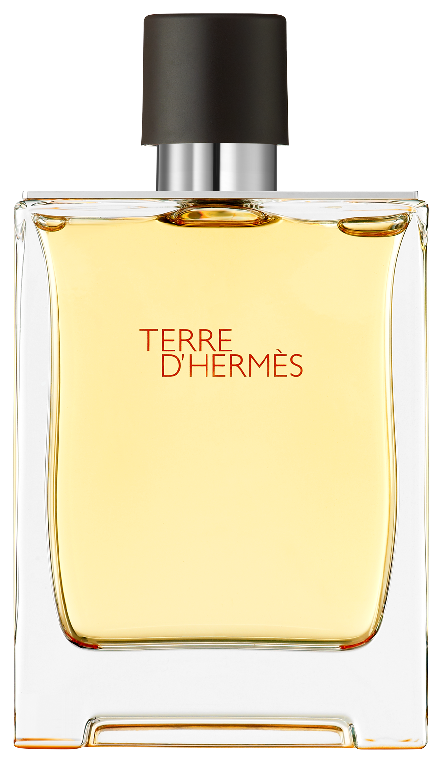 Bild: Hermès Terre d'Hermès Pure Parfum 200 ml