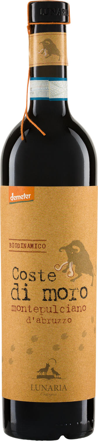 Coste di Moro Montepulciano d'Abruzzo DOP