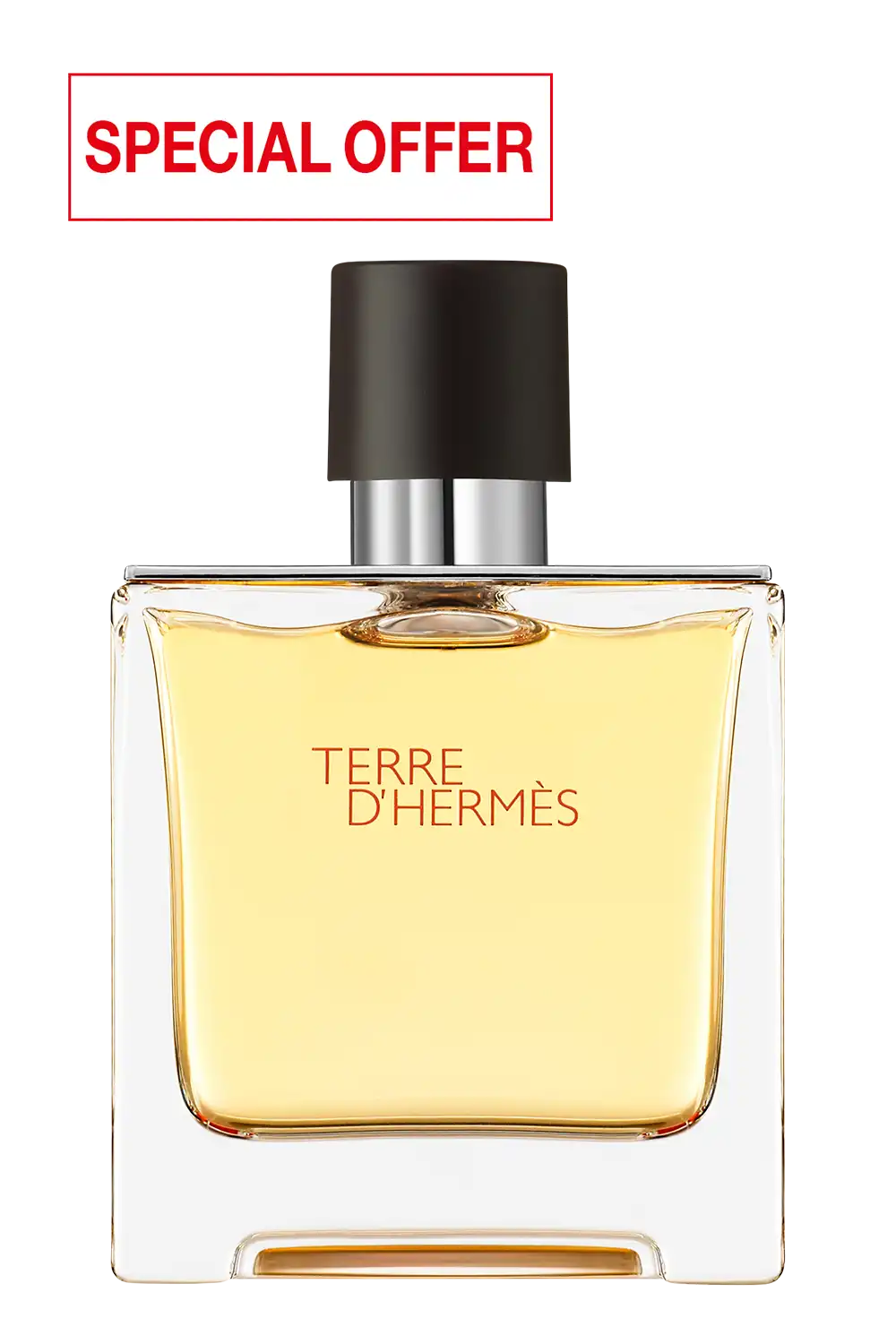 Bild: Hermès Terre d'Hermès Pure Parfum 75 ml