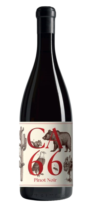 Bild: Hannes Sabathi CA 66 Pinot Noir 0,75 l