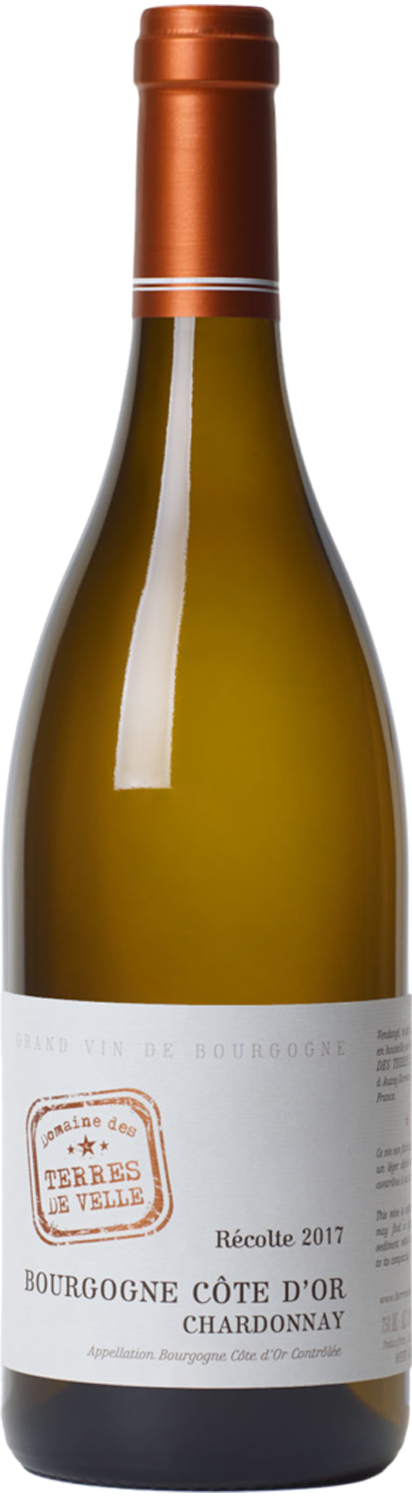 Bourgogne Côte D'Or - Chardonnay