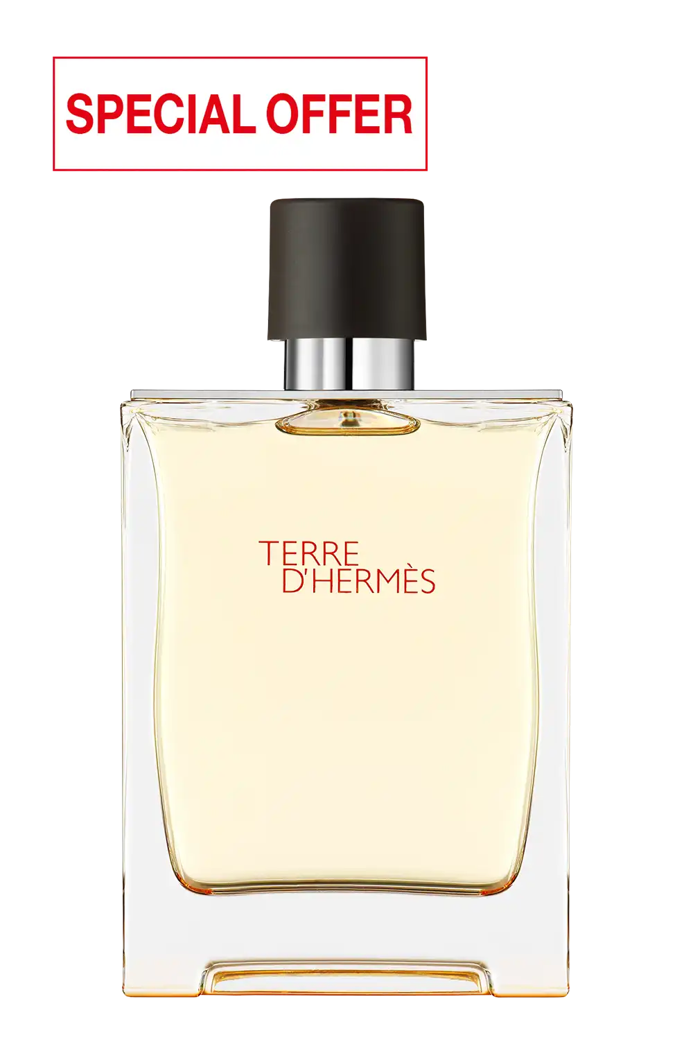 Bild: Hermès Terre d'Hermès Eau de Toilette 200 ml