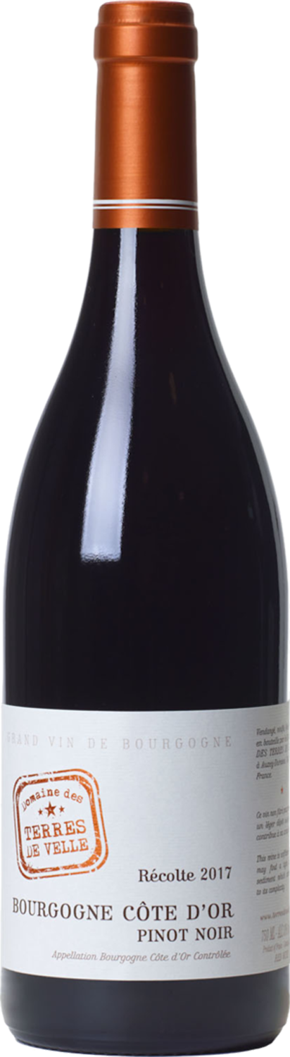 Bourgogne Côte D'Or - Pinot Noir