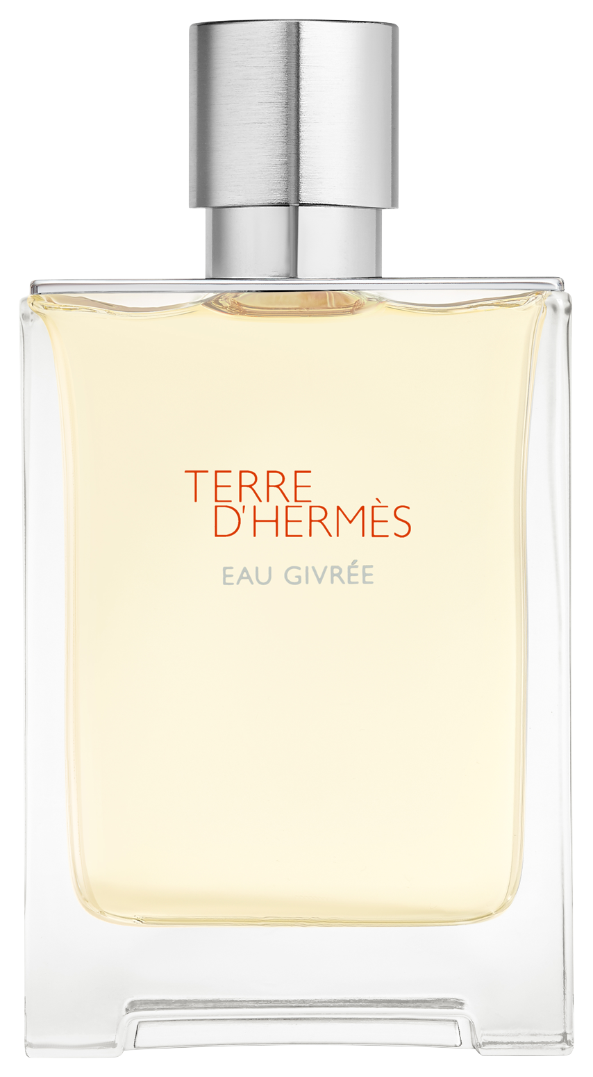 Bild: Hermès Terre d'Hermès Eau Givrée Eau de Parfum 100 ml