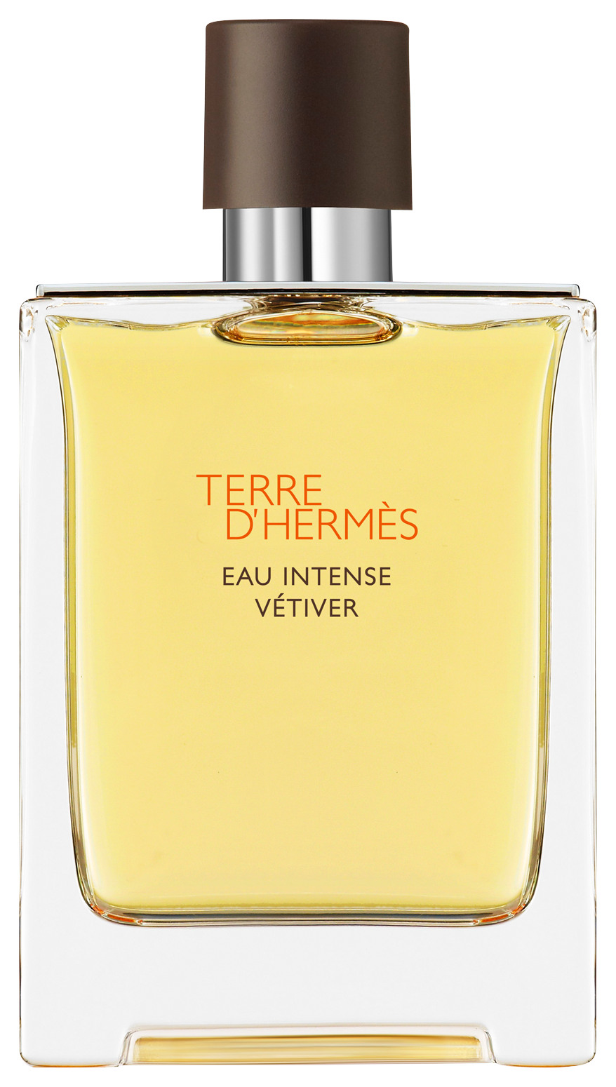 Bild: Hermès Terre d'Hermès Eau de Parfum Intense Vétiver 100 ml