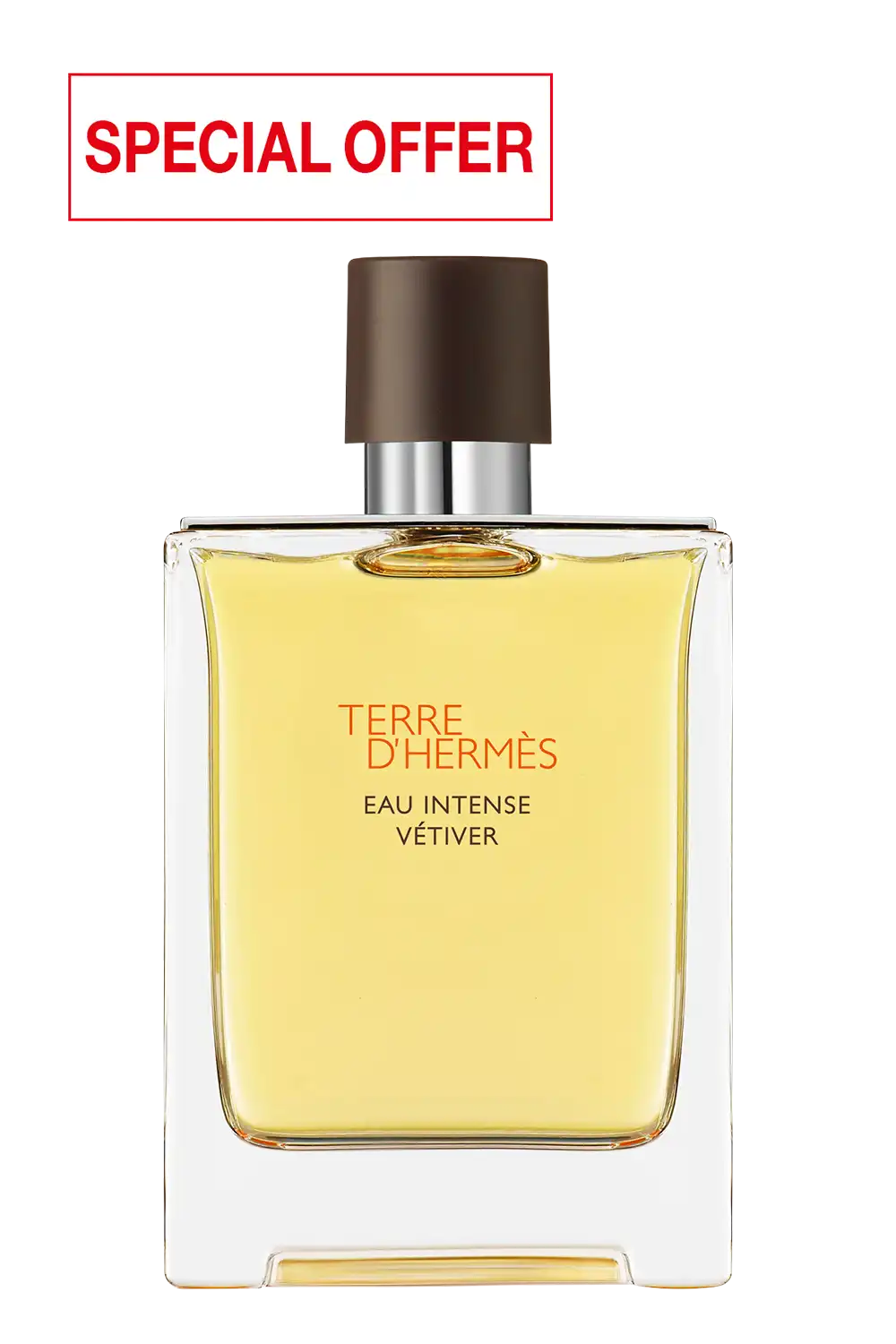 Bild: Hermès Terre d'Hermès Eau de Parfum Intense Vétiver 100 ml
