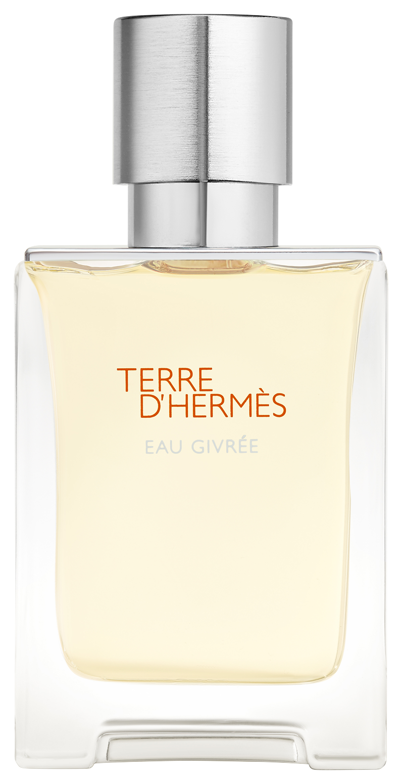 Bild: Hermès Terre d'Hermès Eau Givrée Eau de Parfum 50 ml