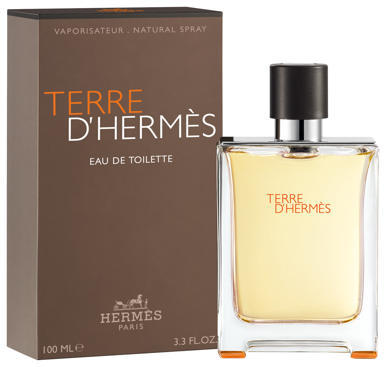 Bild: Hermès Terre d'Hermès Eau de Toilette 100 ml