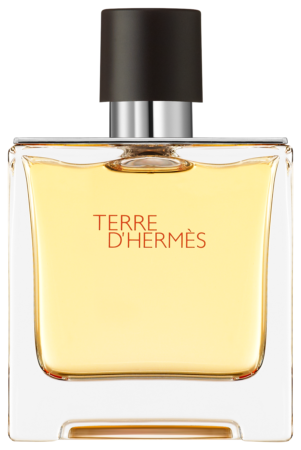 Bild: Hermès Terre d'Hermès Pure Parfum 75 ml